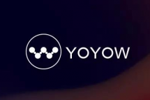 YOYOW币具有发展前途吗