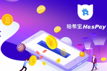 哈希宝挖矿设置